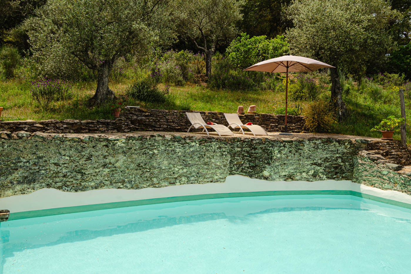 Good sized private pool, 9 metre long.